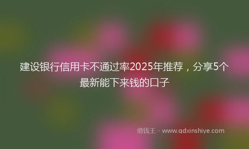 建设银行信用卡不通过率2025年推荐，分享5个最新能下来钱的口子