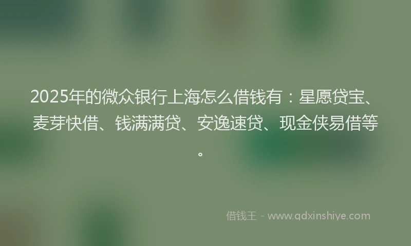 2025年的微众银行上海怎么借钱有：星愿贷宝、麦芽快借、钱满满贷、安逸速贷、现金侠易借等。