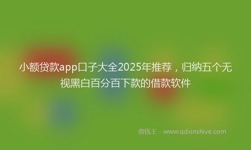 小额贷款app口子大全2025年推荐，归纳五个无视黑白百分百下款的借款软件