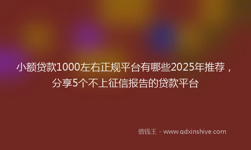 小额贷款1000左右正规平台有哪些2025年推荐，分享5个不上征信报告的贷款平台