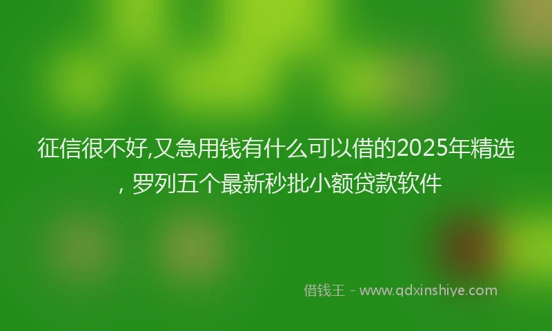 征信很不好,又急用钱有什么可以借的2025年精选，罗列五个最新秒批小额贷款软件