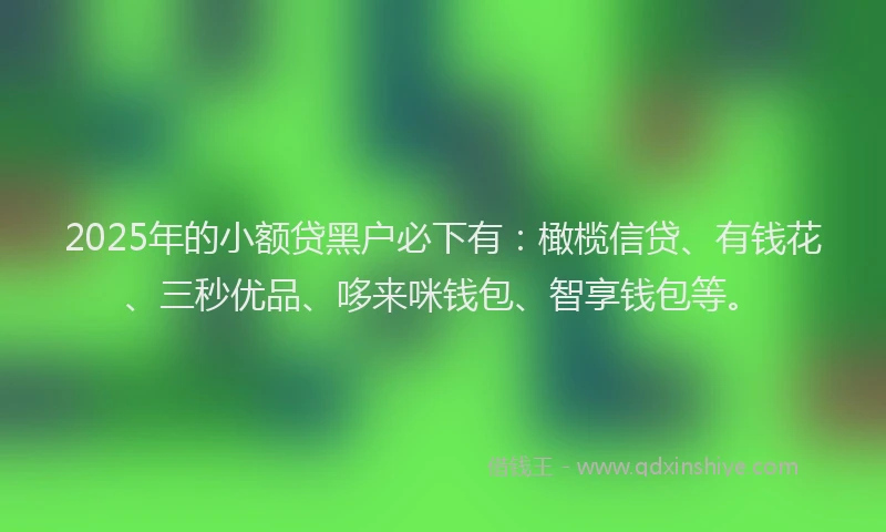 2025年的小额贷黑户必下有：橄榄信贷、有钱花、三秒优品、哆来咪钱包、智享钱包等。
