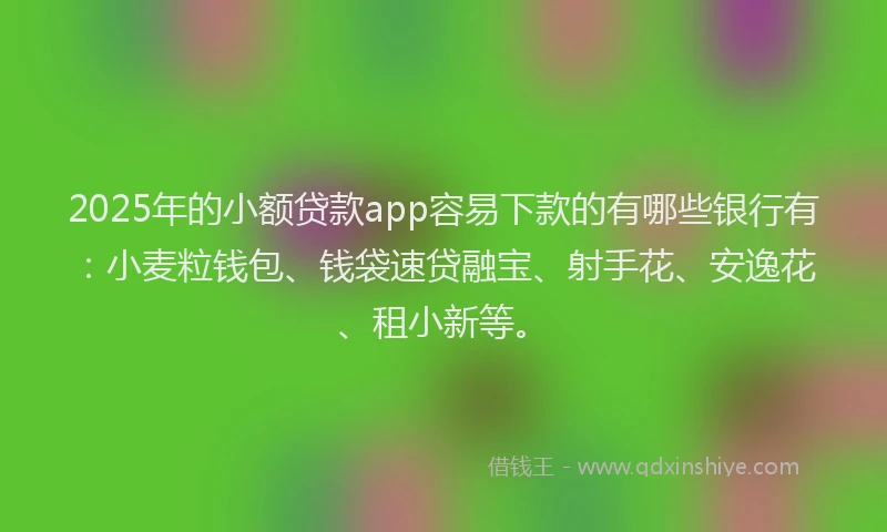 2025年的小额贷款app容易下款的有哪些银行有：小麦粒钱包、钱袋速贷融宝、射手花、安逸花、租小新等。