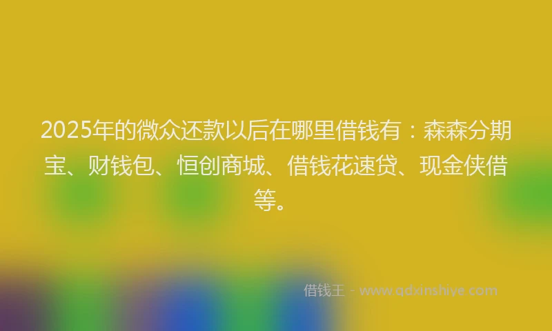 2025年的微众还款以后在哪里借钱有：森森分期宝、财钱包、恒创商城、借钱花速贷、现金侠借等。