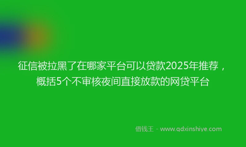 征信被拉黑了在哪家平台可以贷款2025年推荐，概括5个不审核夜间直接放款的网贷平台