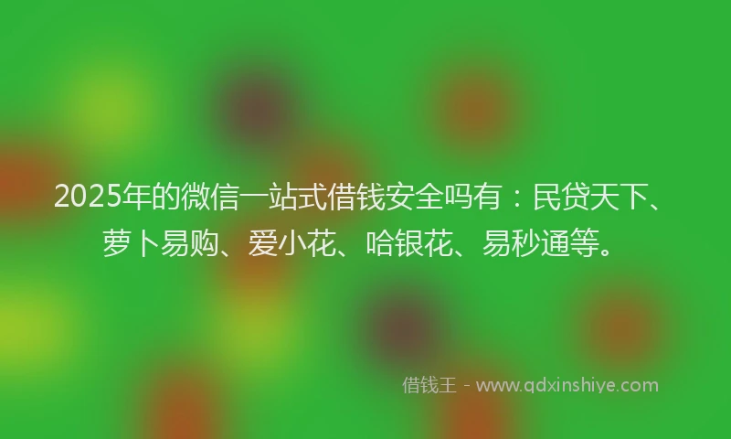 2025年的微信一站式借钱安全吗有：民贷天下、萝卜易购、爱小花、哈银花、易秒通等。