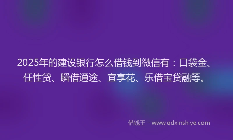 2025年的建设银行怎么借钱到微信有：口袋金、任性贷、瞬借通途、宜享花、乐借宝贷融等。