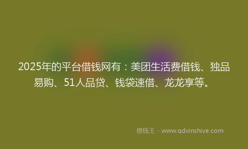 2025年的平台借钱网有：美团生活费借钱、独品易购、51人品贷、钱袋速借、龙龙享等。