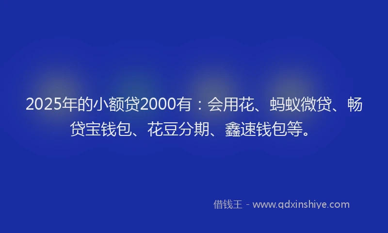 2025年的小额贷2000有：会用花、蚂蚁微贷、畅贷宝钱包、花豆分期、鑫速钱包等。