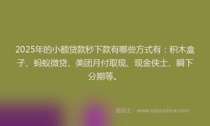 2025年的小额贷款秒下款有哪些方式有：积木盒子、蚂蚁微贷、美团月付取现、现金侠士、瞬下分期等。