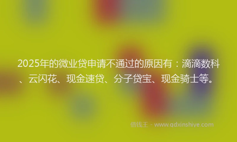 2025年的微业贷申请不通过的原因有：滴滴数科、云闪花、现金速贷、分子贷宝、现金骑士等。