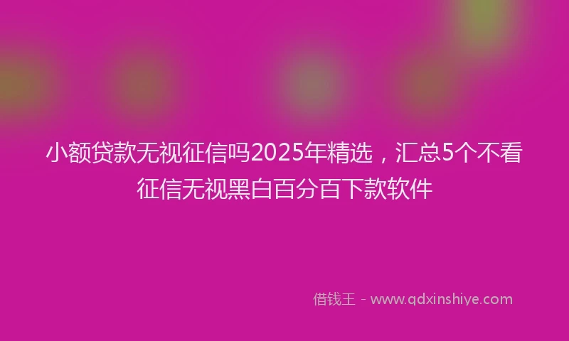 小额贷款无视征信吗2025年精选，汇总5个不看征信无视黑白百分百下款软件