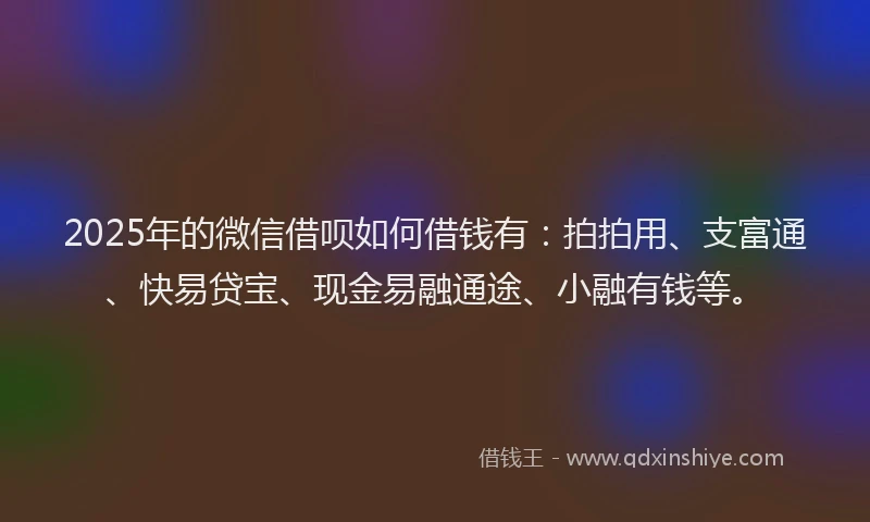 2025年的微信借呗如何借钱有：拍拍用、支富通、快易贷宝、现金易融通途、小融有钱等。