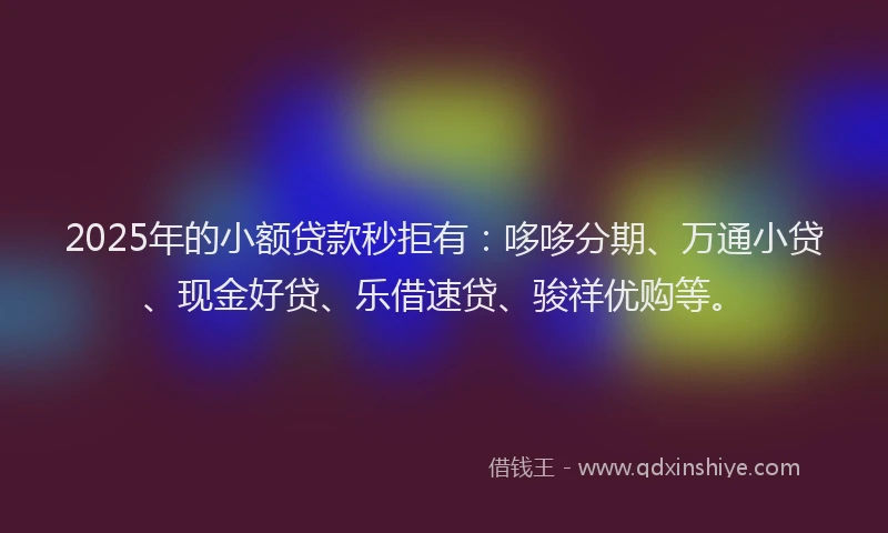 2025年的小额贷款秒拒有：哆哆分期、万通小贷、现金好贷、乐借速贷、骏祥优购等。