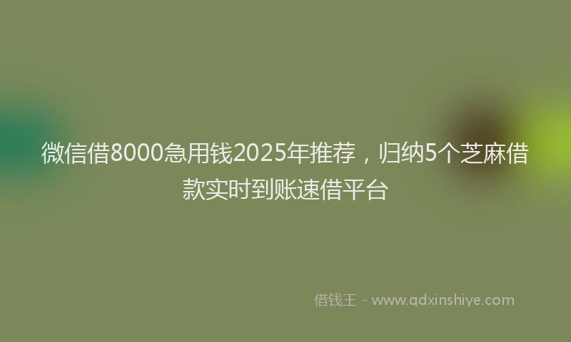 微信借8000急用钱2025年推荐，归纳5个芝麻借款实时到账速借平台
