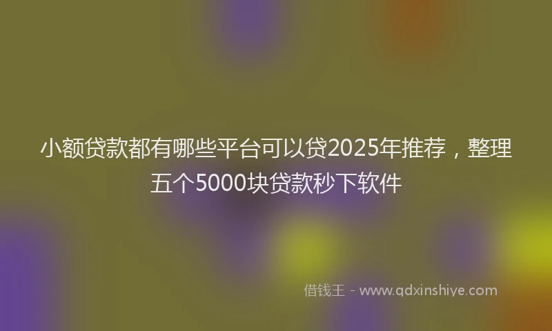 小额贷款都有哪些平台可以贷2025年推荐，整理五个5000块贷款秒下软件