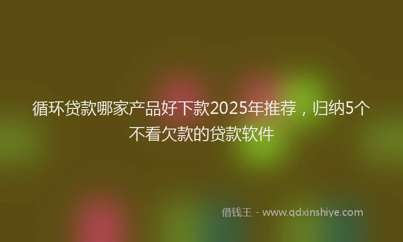 循环贷款哪家产品好下款2025年推荐，归纳5个不看欠款的贷款软件