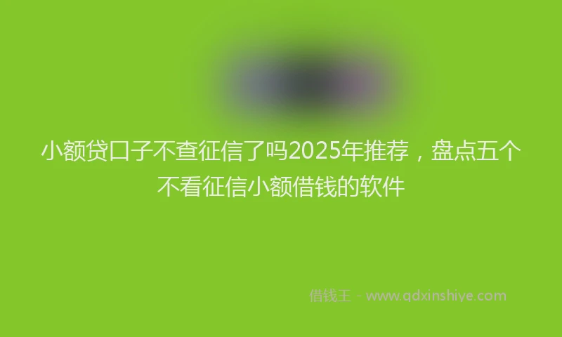 小额贷口子不查征信了吗2025年推荐，盘点五个不看征信小额借钱的软件