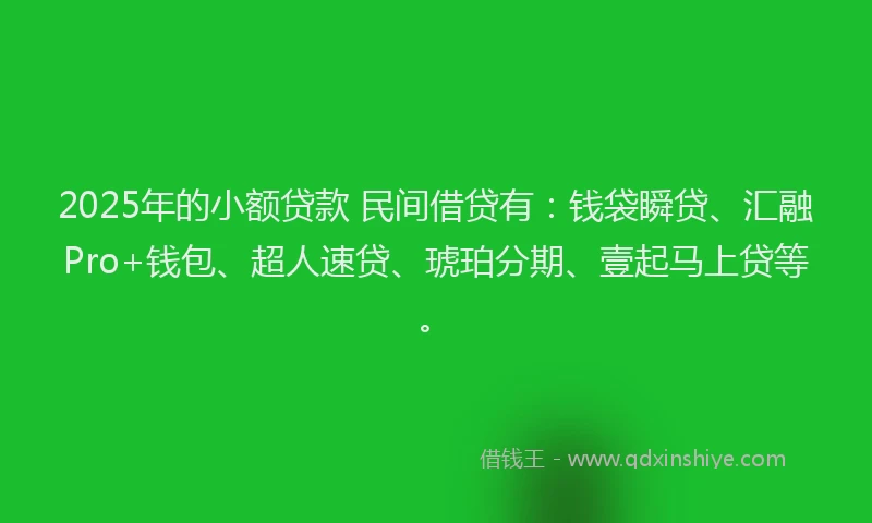 2025年的小额贷款 民间借贷有：钱袋瞬贷、汇融Pro+钱包、超人速贷、琥珀分期、壹起马上贷等。