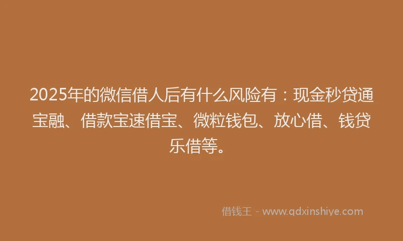 2025年的微信借人后有什么风险有：现金秒贷通宝融、借款宝速借宝、微粒钱包、放心借、钱贷乐借等。