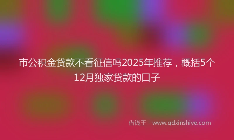 市公积金贷款不看征信吗2025年推荐，概括5个12月独家贷款的口子