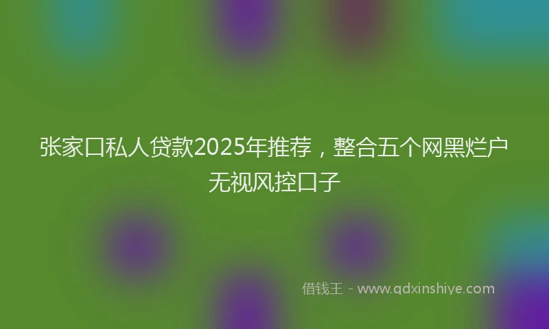 张家口私人贷款2025年推荐，整合五个网黑烂户无视风控口子