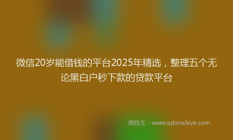 微信20岁能借钱的平台2025年精选，整理五个无论黑白户秒下款的贷款平台