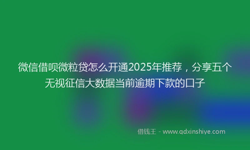 微信借呗微粒贷怎么开通2025年推荐，分享五个无视征信大数据当前逾期下款的口子