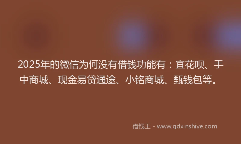 2025年的微信为何没有借钱功能有：宜花呗、手中商城、现金易贷通途、小铭商城、甄钱包等。