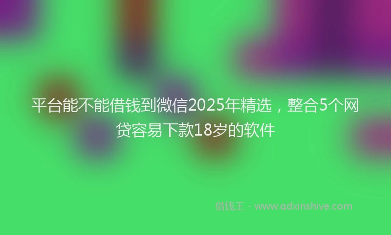 平台能不能借钱到微信2025年精选，整合5个网贷容易下款18岁的软件