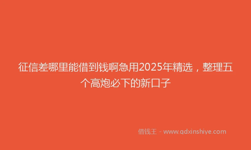征信差哪里能借到钱啊急用2025年精选，整理五个高炮必下的新口子