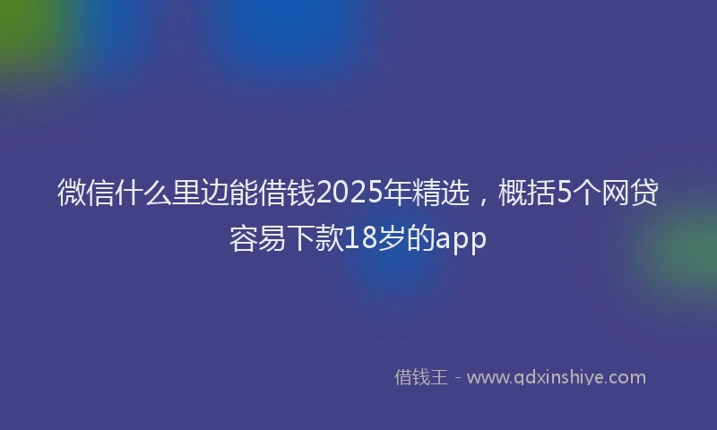 微信什么里边能借钱2025年精选，概括5个网贷容易下款18岁的app