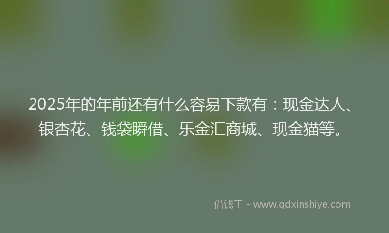 2025年的年前还有什么容易下款有：现金达人、银杏花、钱袋瞬借、乐金汇商城、现金猫等。