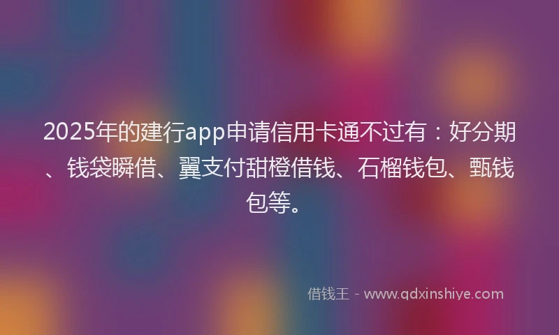 2025年的建行app申请信用卡通不过有：好分期、钱袋瞬借、翼支付甜橙借钱、石榴钱包、甄钱包等。