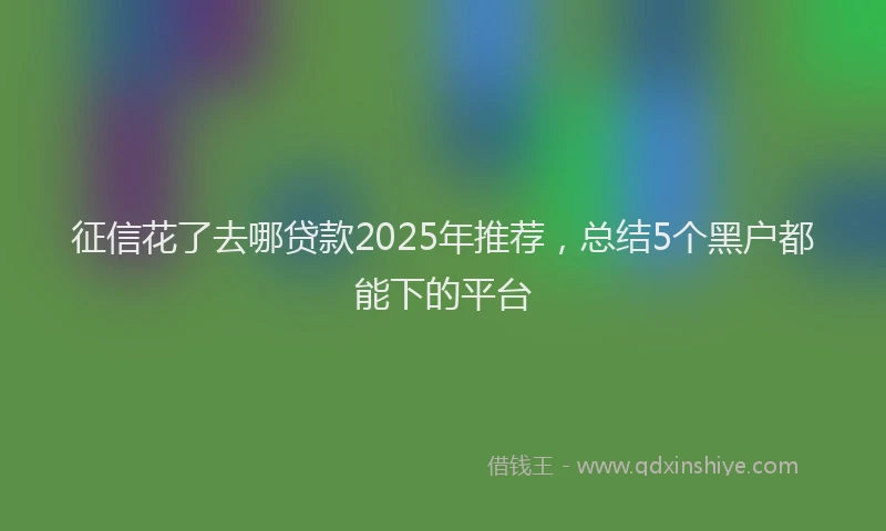 征信花了去哪贷款2025年推荐，总结5个黑户都能下的平台