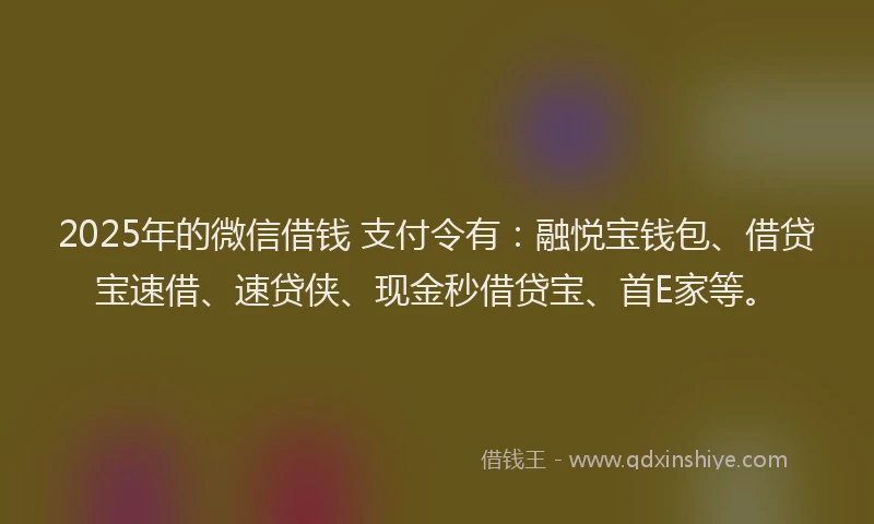 2025年的微信借钱 支付令有：融悦宝钱包、借贷宝速借、速贷侠、现金秒借贷宝、首E家等。