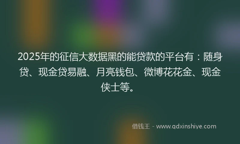 2025年的征信大数据黑的能贷款的平台有：随身贷、现金贷易融、月亮钱包、微博花花金、现金侠士等。