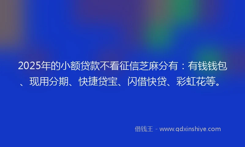 2025年的小额贷款不看征信芝麻分有：有钱钱包、现用分期、快捷贷宝、闪借快贷、彩虹花等。