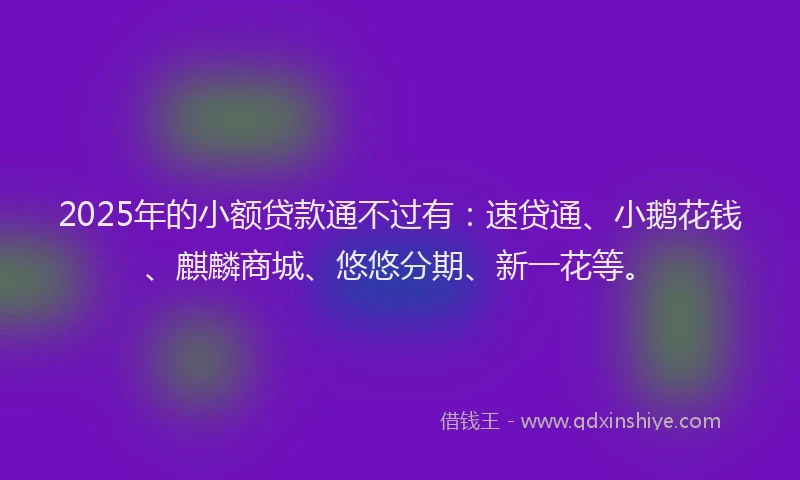 2025年的小额贷款通不过有：速贷通、小鹅花钱、麒麟商城、悠悠分期、新一花等。