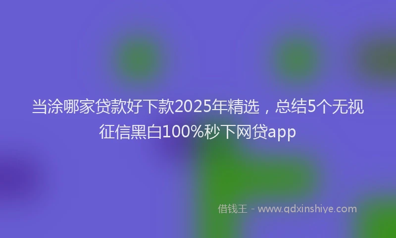当涂哪家贷款好下款2025年精选，总结5个无视征信黑白100%秒下网贷app