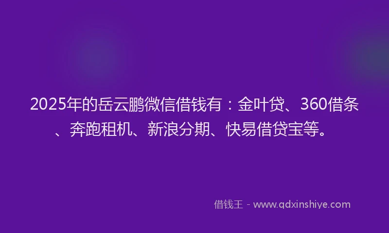 2025年的岳云鹏微信借钱有：金叶贷、360借条、奔跑租机、新浪分期、快易借贷宝等。