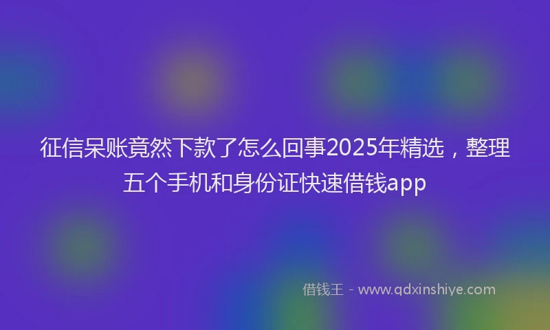 征信呆账竟然下款了怎么回事2025年精选，整理五个手机和身份证快速借钱app