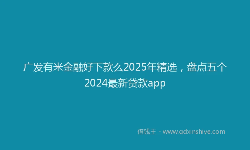 广发有米金融好下款么2025年精选，盘点五个2024最新贷款app