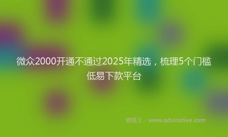 微众2000开通不通过2025年精选，梳理5个门槛低易下款平台