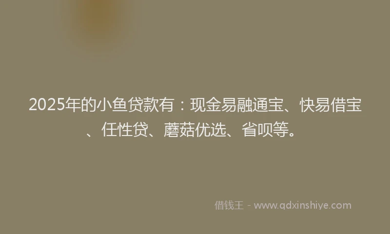 2025年的小鱼贷款有：现金易融通宝、快易借宝、任性贷、蘑菇优选、省呗等。