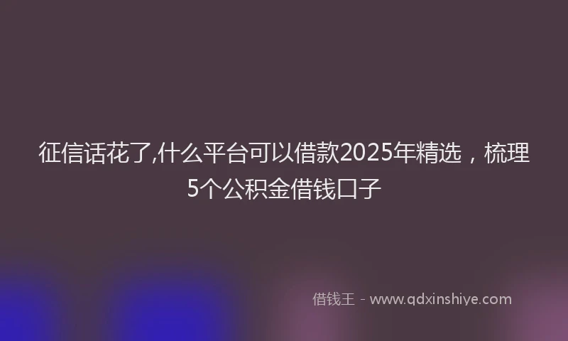 征信话花了,什么平台可以借款2025年精选，梳理5个公积金借钱口子