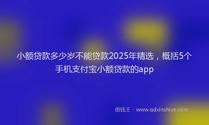 小额贷款多少岁不能贷款2025年精选，概括5个手机支付宝小额贷款的app