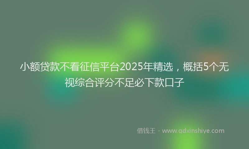 小额贷款不看征信平台2025年精选，概括5个无视综合评分不足必下款口子
