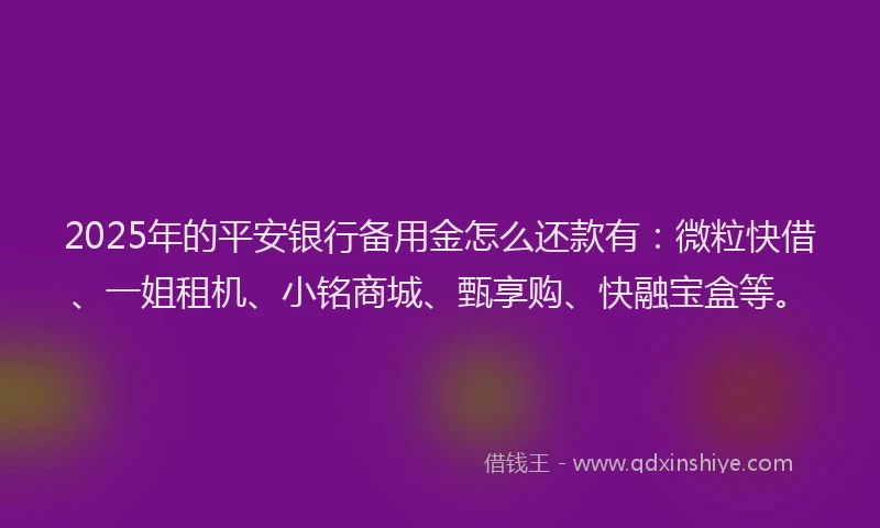 2025年的平安银行备用金怎么还款有：微粒快借、一姐租机、小铭商城、甄享购、快融宝盒等。