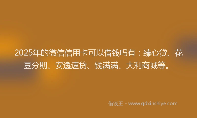 2025年的微信信用卡可以借钱吗有：臻心贷、花豆分期、安逸速贷、钱满满、大利商城等。
